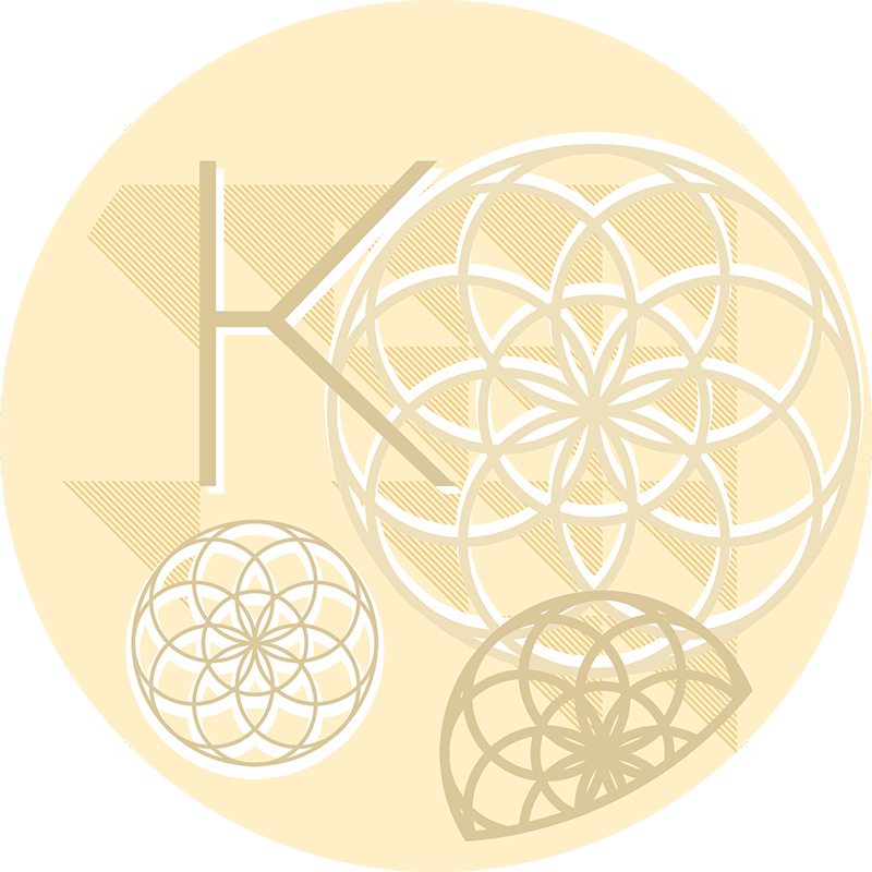 Corporate Responsibility Society